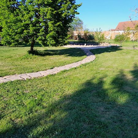 شقة Dvur Dolenec Rohoznice  المظهر الخارجي الصورة